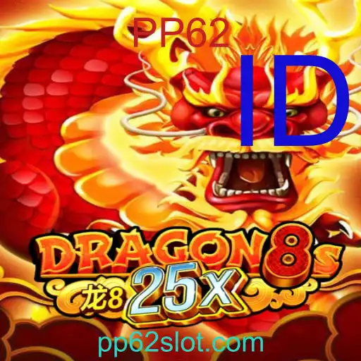 Dragon8s25x